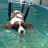 Afloat