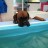 Lifeguard